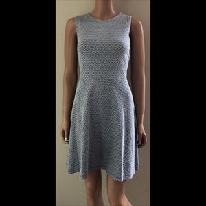 Ann Taylor LOFT Fit & Flare Mini Dress